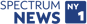 ny 1 logo