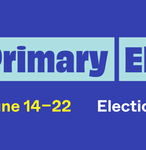 A mini voter guide promoting the 2025 primary election with early voting and election day dates and 'Here's what you need to know on a blue backgroung
