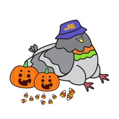 a pigeon wearing an N Y C votes hat next to smiling pumpkins and candy
